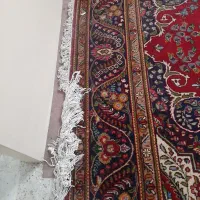 فرش دستباف قدیمی|فرش|تهران, کوثر|دیوار