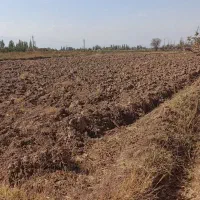 فروش زمین|فروش زمین و ملک کلنگی|یامچی, |دیوار