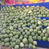 نیروی ساده جهت همکاری در فروشگاه میوه