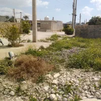 زمین مسکونی|فروش زمین و ملک کلنگی|بوشکان, |دیوار