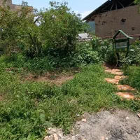 اجاره ویلا در حلیمه جان|اجارهٔ کوتاه‌مدت ویلا و باغ|توتکابن, |دیوار