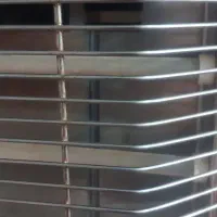 گمشده . عروس هلندی . پرنده