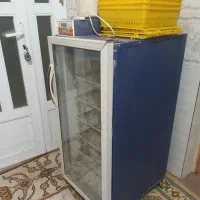 دستگاه جوجه کشی بلدرچین دماوند ۲۱۰ تایی