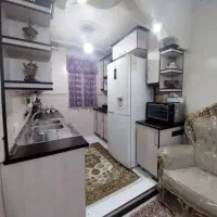 خونه-دارم-خانمم-همخونه-سالم-مرتب-بدون-حاشیه