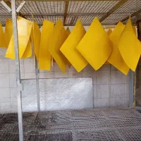 خدمات رنگ کوره ای و استاتیک رنگین تاب|خدمات پیشه و مهارت|اصفهان, باغ فدک|دیوار