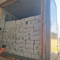 ذرت نیمه آماده عمده|خوردنی و آشامیدنی|تهران, سلسبیل شمالی|دیوار