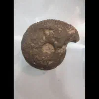 سنگ فسیل حلزونی عتیقه کلکسیونی