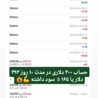 درآمد هوشمندانه با تیم ربات|استخدام مالی، حسابداری، حقوقی|تهران, میرداماد|دیوار