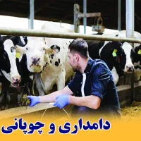 نیازمند چوپان با خانواده
