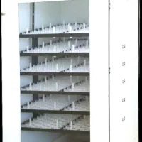 دستگاه جوجه کشی 1008 تایی هدایت 2025