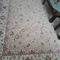 فرش|فرش|زنجان, |دیوار