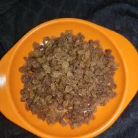 فروش|خوردنی و آشامیدنی|شیراز, بازار|دیوار