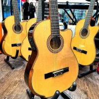 گیتار پیکاپدار tpsn 610