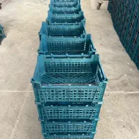 تولید و پخش ظروف پلاستیکی|ظروف نگهدارنده، پلاستیکی، یکبارمصرف|هشتگرد, تهران دشت|دیوار