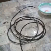 لوله بازکنی شبهانه روز دوستی