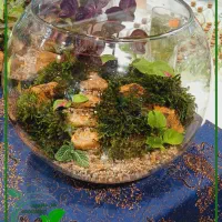 تراریوم .گل طبیعی. هدیه ماندگار عمده و جزئی