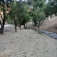 زمین باغ ویلا کنار رودخونه گلمکان جاده چشمه سبز|فروش زمین و ملک کلنگی|مشهد, شهید مطهری|دیوار