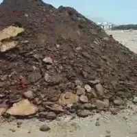 کود گوسفندی خشک درجه یک مخصوص گل وگیاه باغ وباغچه|خدمات باغبانی و درختکاری|مشکین‌دشت, |دیوار