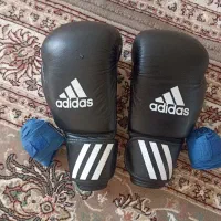 دست کش بوکس