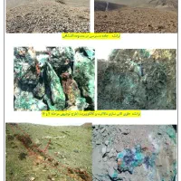 واگذاری یا مشارکت در معدن پلی متال