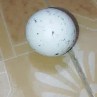 سنگ آسیاب|کلکسیون اشیاء عتیقه|سنندج, |دیوار