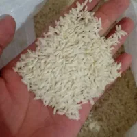 برنج ایرانی درجه یک (علی کاظمی)