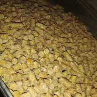 مرغ دان پارس شرکتی با آنالیز غذا/خوراک