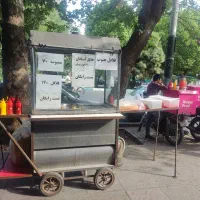 چرخ فلافلی