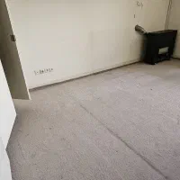 موکت پالاز درحد واقعا نو حدود صدمتر مربع