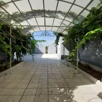 اجاره خانه دریامچی