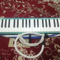 ملودیکا