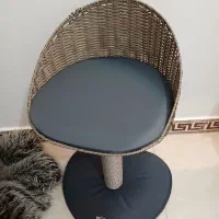 پت شاپ|لوازم جانبی حیوانات|شیراز, معالی‌آباد|دیوار