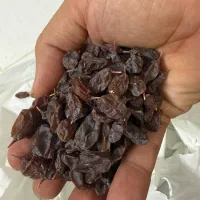 کشمش آفتابی ممتاز ارگانیک