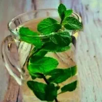 فروش 500لیتر عرق نعنا دوآتشه درجه یک سنتی