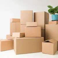 جذب مدیر مالی و جذب نیروی طراح