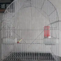 قفس عروس هلندی