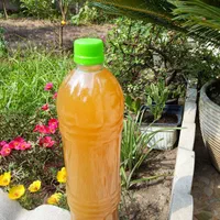 آبغوره طبیعی امسال