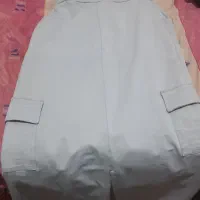 دامن کارگویی