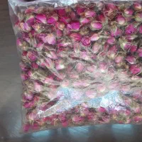 غنچه گل محمدی