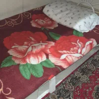 خوابگاه-دخترانه-توشیبا-دانشجو-و-شاغل