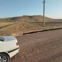 زمین کشاورزی|فروش دفتر صنعتی، کشاورزی، تجاری|کوهدشت, |دیوار