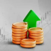 سرمایه گذاری و فروش امتیاز