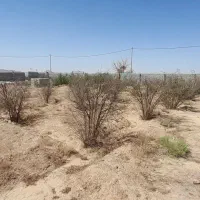 فروش زمین ۱۸۰۰ متری در شاهین شهر (جهاد آباد)|فروش زمین و ملک کلنگی|شاهین‌شهر, برخوار غرب|دیوار