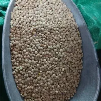 حبوبات ،کشمش پلویی، کره محلی (۳۰۰)|خوردنی و آشامیدنی|داراب, |دیوار