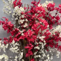 ادمین سالن زیبایی زنانه حقوق ثابت