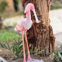 فلامینگو،|مجسمه، تندیس، ماکت|کرمان, |دیوار