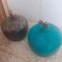 دوعدد پیک نیک سالم