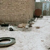زمین مسکونی