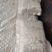 روتختی ساتن