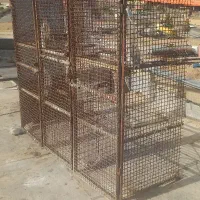 جفتگاه کفتر|لوازم جانبی حیوانات|بیرجند, |دیوار